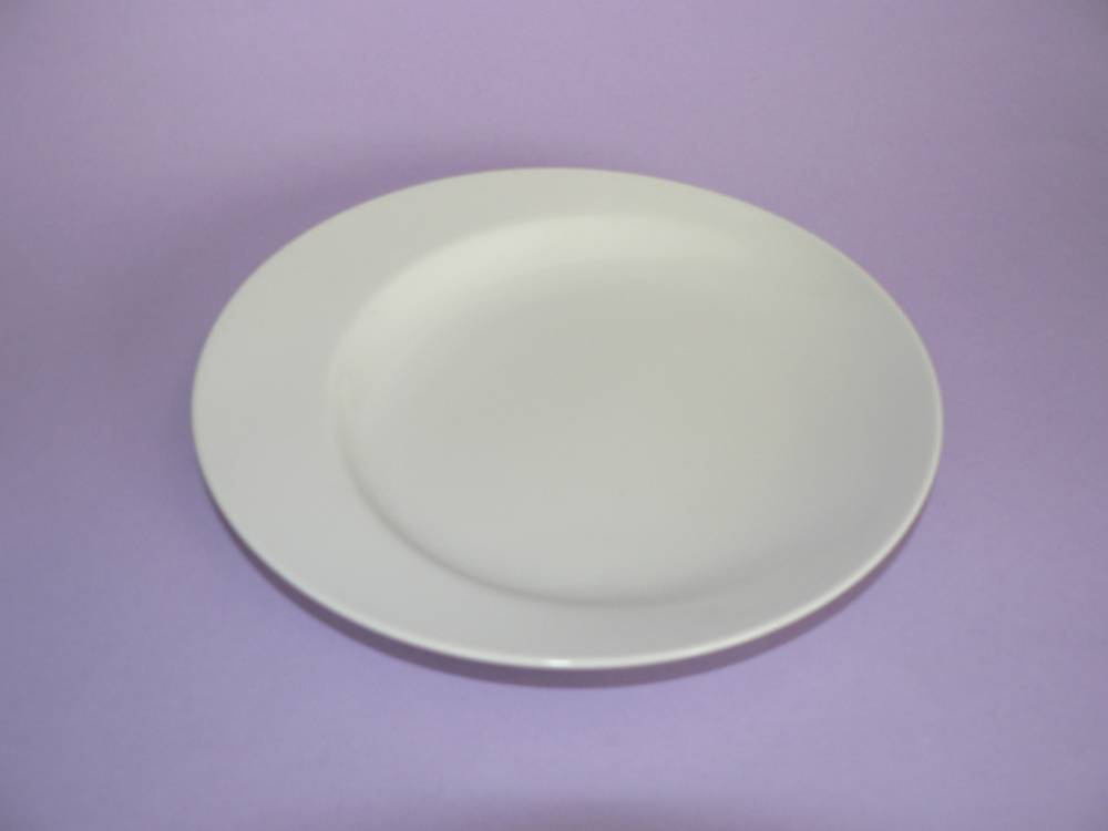 Obrázek k výrobku 4066 - Arcoroc - talíř mělký 21cm