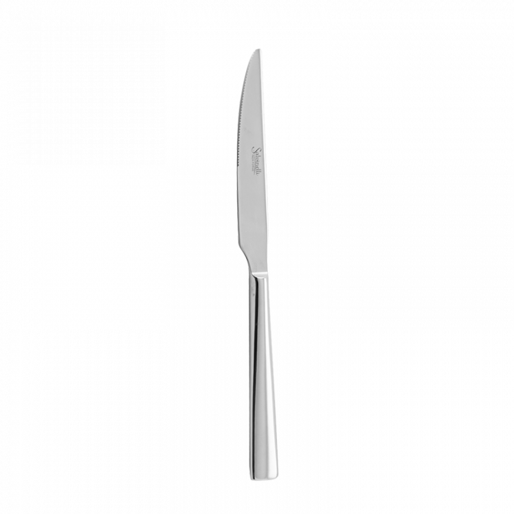 Obrázek k výrobku 2090 - TIME nůž jídelní