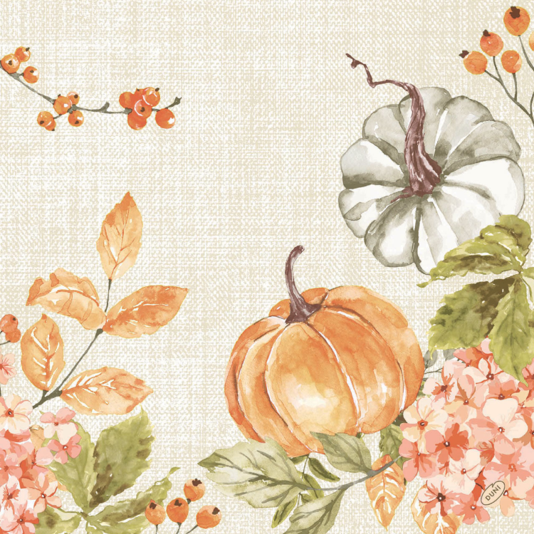 Obrázek k výrobku 3340 - Ubrousek 40 x 40 cm BioDunisoft SPICY PUMPKIN