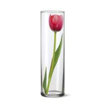 Obrázek k výrobku 2745 - Váza skleněná DRUM II 27,5 x 8,4 cm